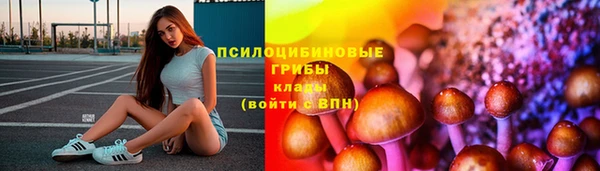 соль ск Гусь-Хрустальный