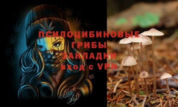 соль ск Гусь-Хрустальный