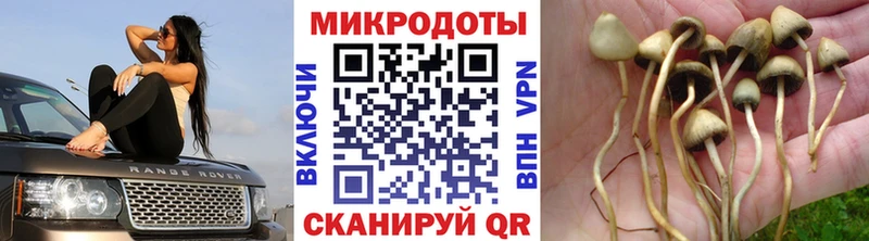 Галлюциногенные грибы прущие грибы  блэк спрут ONION  Облучье  купить  цена 