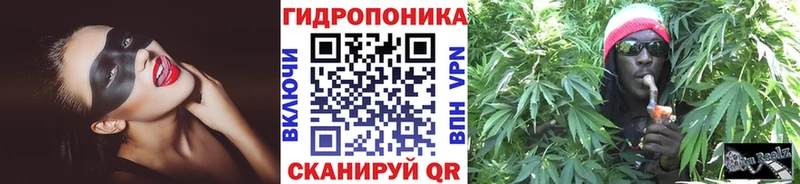 магазин    Облучье  Конопля Bruce Banner 